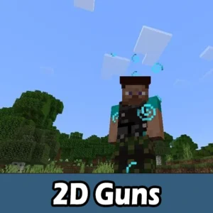 2D Guns