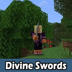 Divine Swords