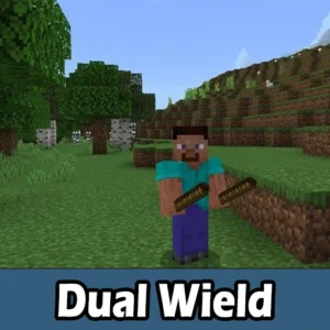 Dual Wield