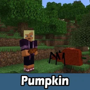 Pumpkin